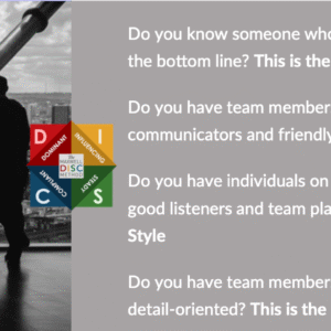 Maxwell DISC™ Group Report